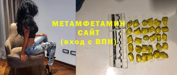 индика Алексин