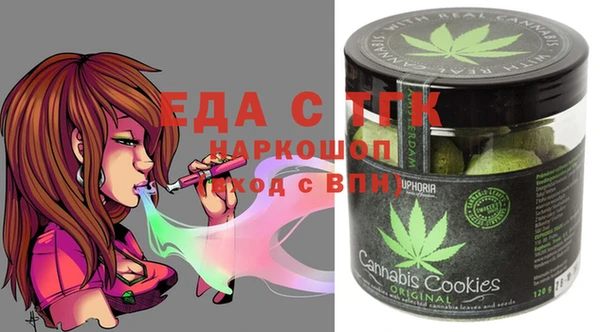 индика Алексин