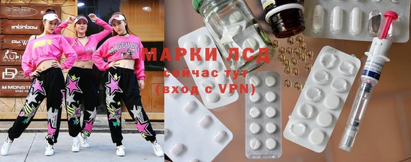 индика Алексин