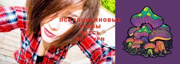 PSILOCYBIN Абинск