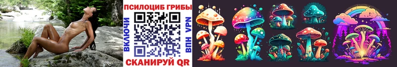 Псилоцибиновые грибы мицелий  Гаджиево 