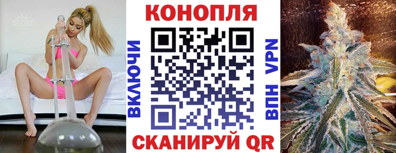 мориарти как зайти Гаджиево Марихуана сатива где можно купить наркотик